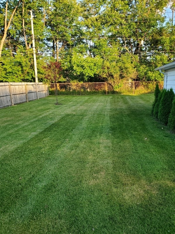 Freshly mowed backyard with clean mowing stripes