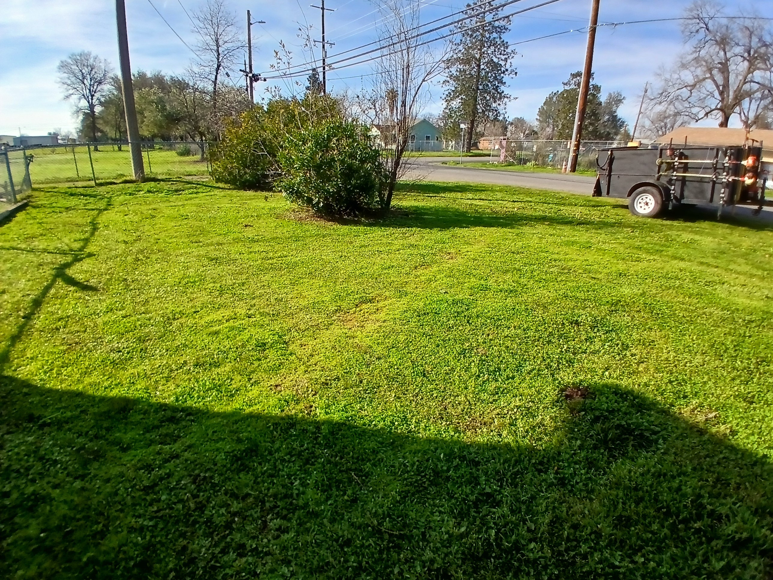 Mowed field with CX Lawn truck visible on site