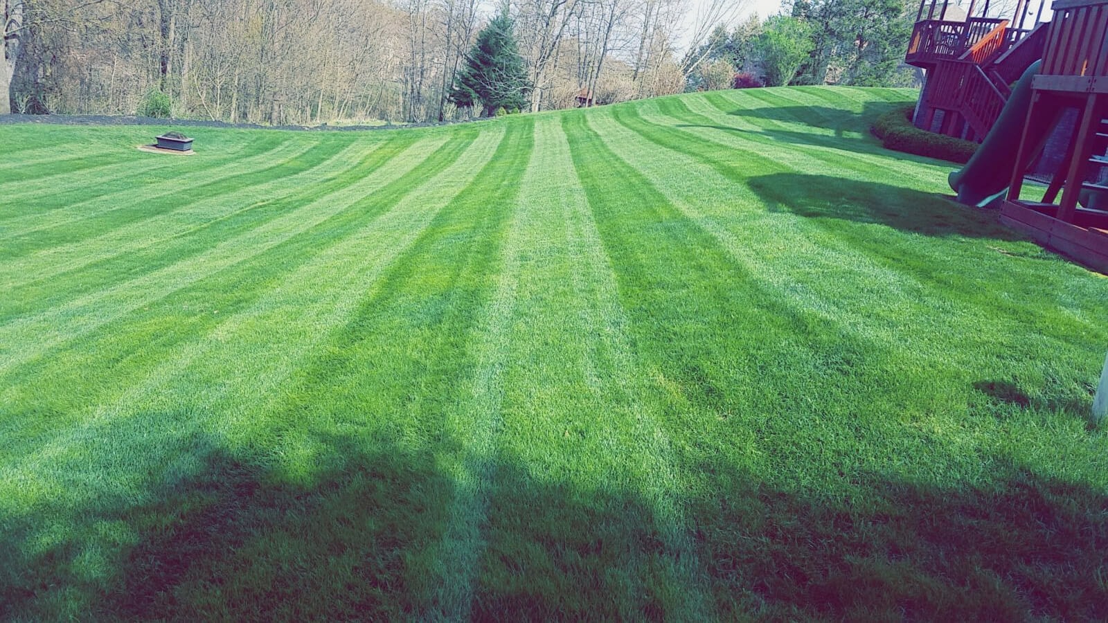 Wide lawn with professional mowing stripe pattern
