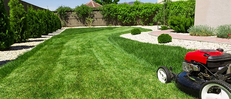 Mower on manicured yard with landscaping detail